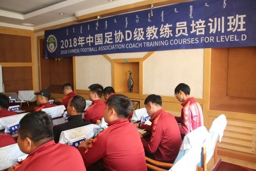 中国足球教练员管理系统，农业职业经理人考试试题